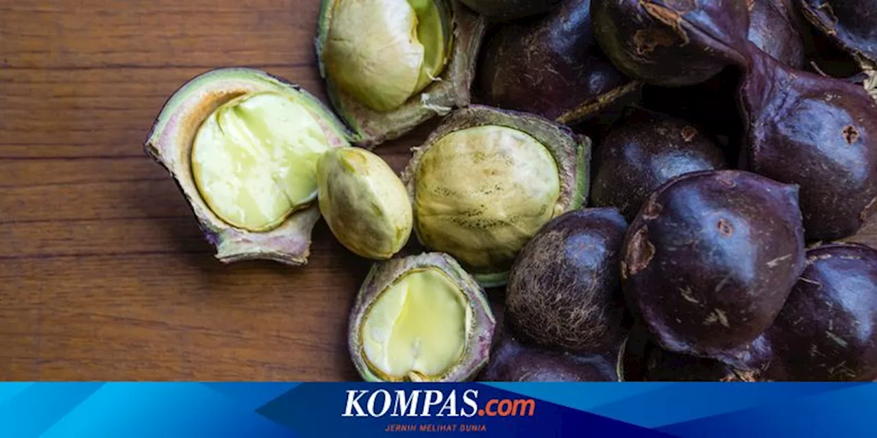 Apa Saja Efek Samping Makan Jengkol Terlalu Banyak?