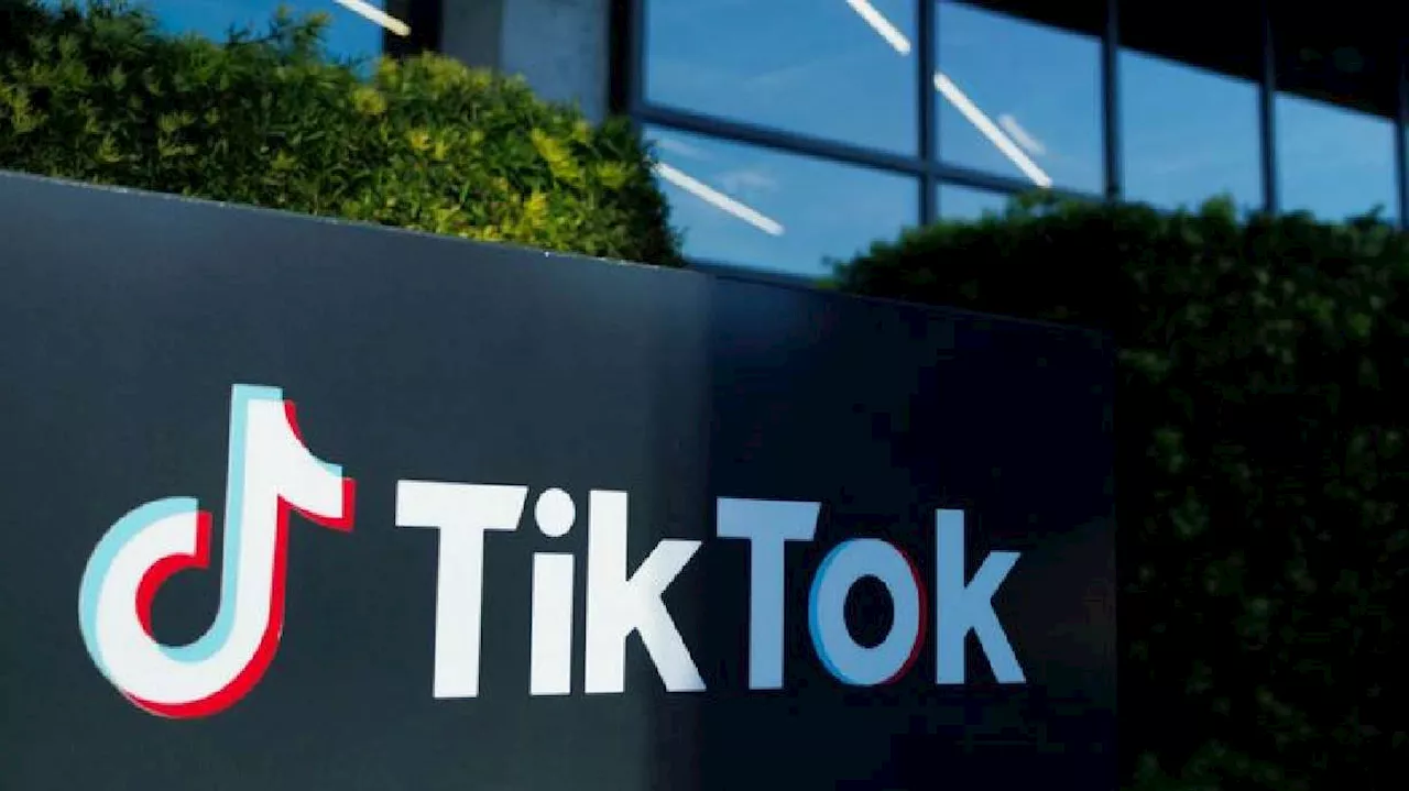 ByteDance, TikTok seek temporary halt to US ban pending Supreme Court review