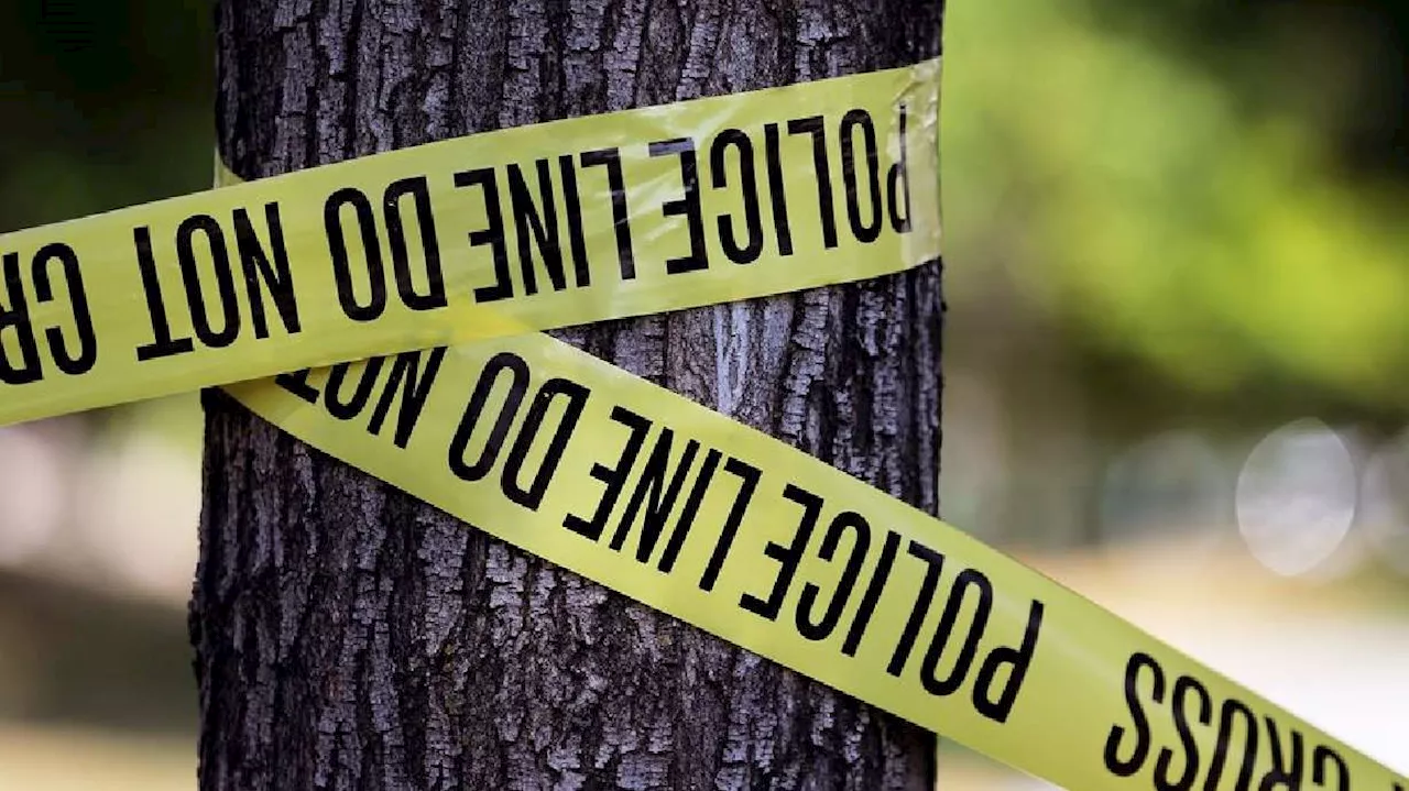 Man charged with attempted murder for allegedly trying to run over children at park