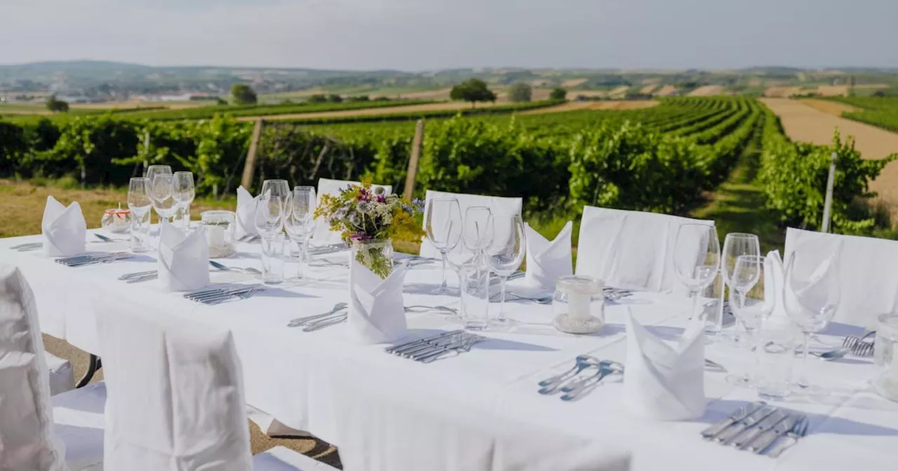 Geschenktipp: Genussvolle Gelassenheit des Weinviertels verschenken