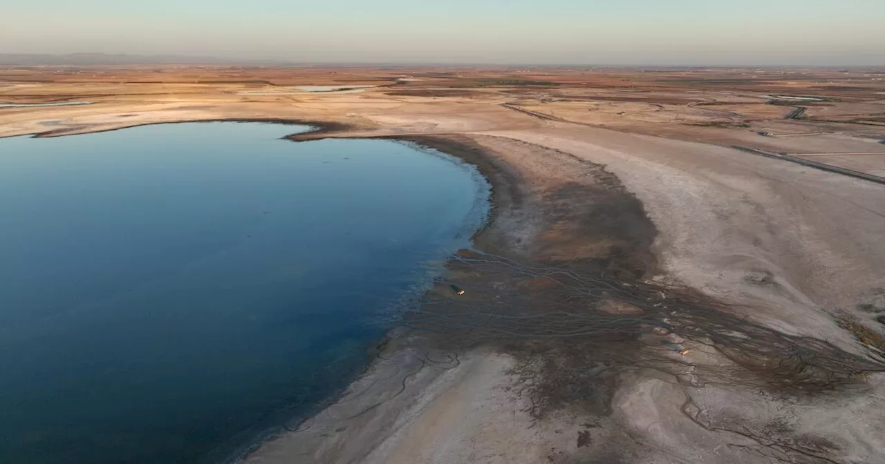 Fertilized soil may be a major source of smog near Salton Sea, researchers say