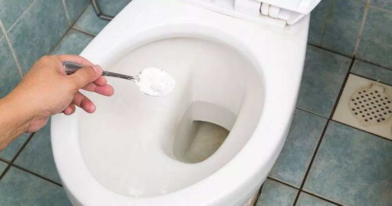 Woman's 'genius' hack for removing limescale from your toilet in minutes