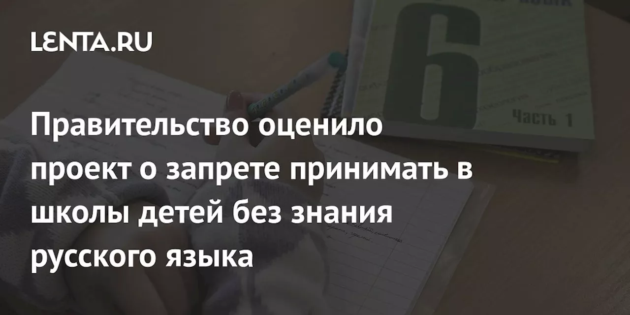 Правительство оценило проект о запрете принимать в школы детей без знания русского языка