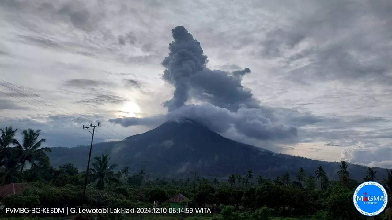 Gunung Lewotobi Laki-Laki Erupsi Lagi, Semburkan Abu Vulkanik 2.000 Meter ke Arah Barat