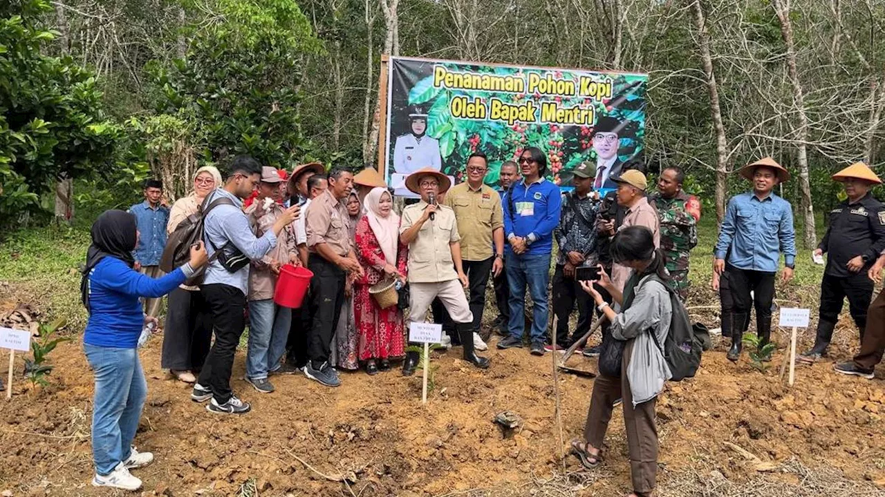 Mendes PDT Yandri Temukan Potensi Kopi Luwak di Kutai Kartanegara, Apa Itu?