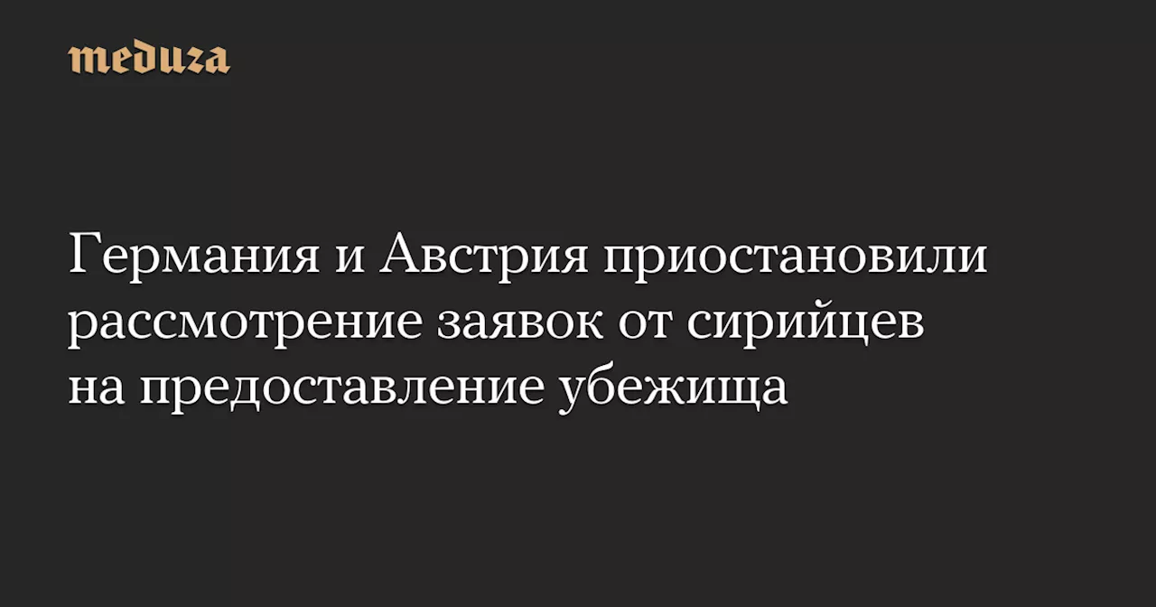 Германия и Австрия приостановили рассмотрение заявок от сирийцев на предоставление убежища