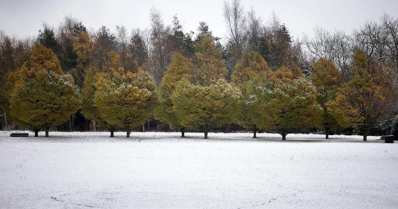 This is what makes a white Christmas official, according to the Met Office