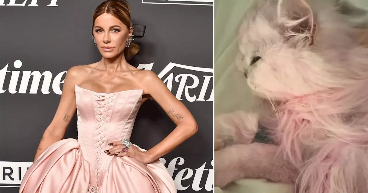 Kate Beckinsale reckons dyeing her cat pink helped with its 'depression'