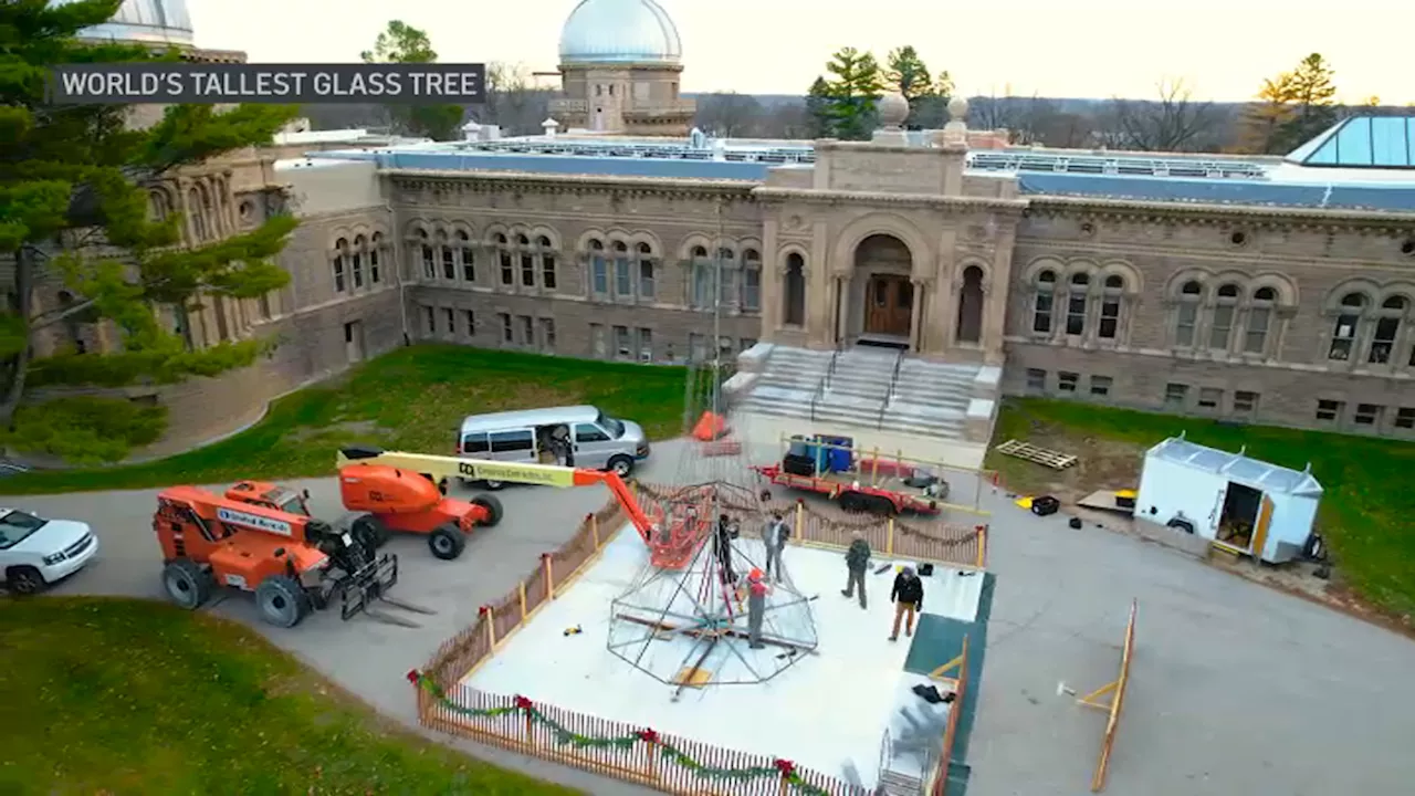 Illinois artist builds ‘world's tallest glass tree' from recycled bottles