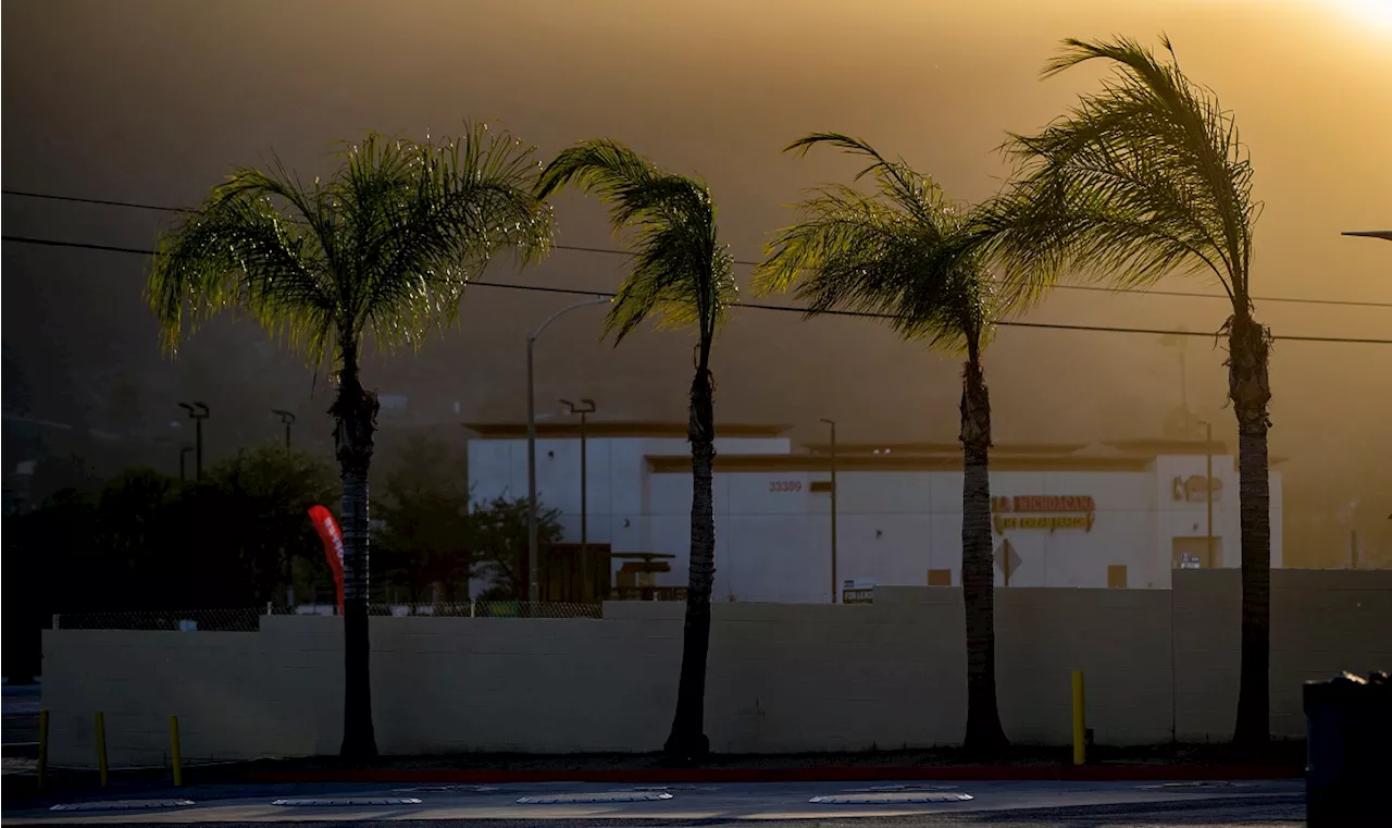 Santa Ana winds return, prompt red flag warning across Southern California