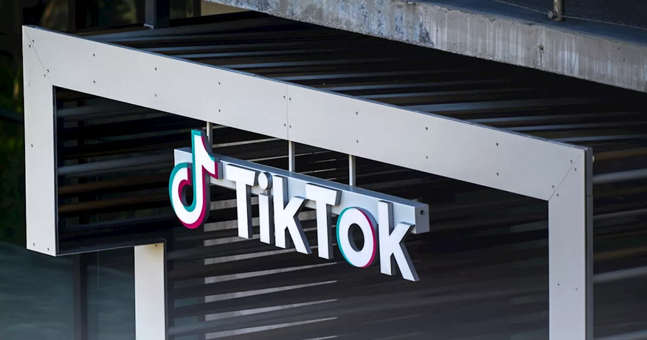 TikTok says ban would cost U.S. small businesses and creators $1.3B in first month