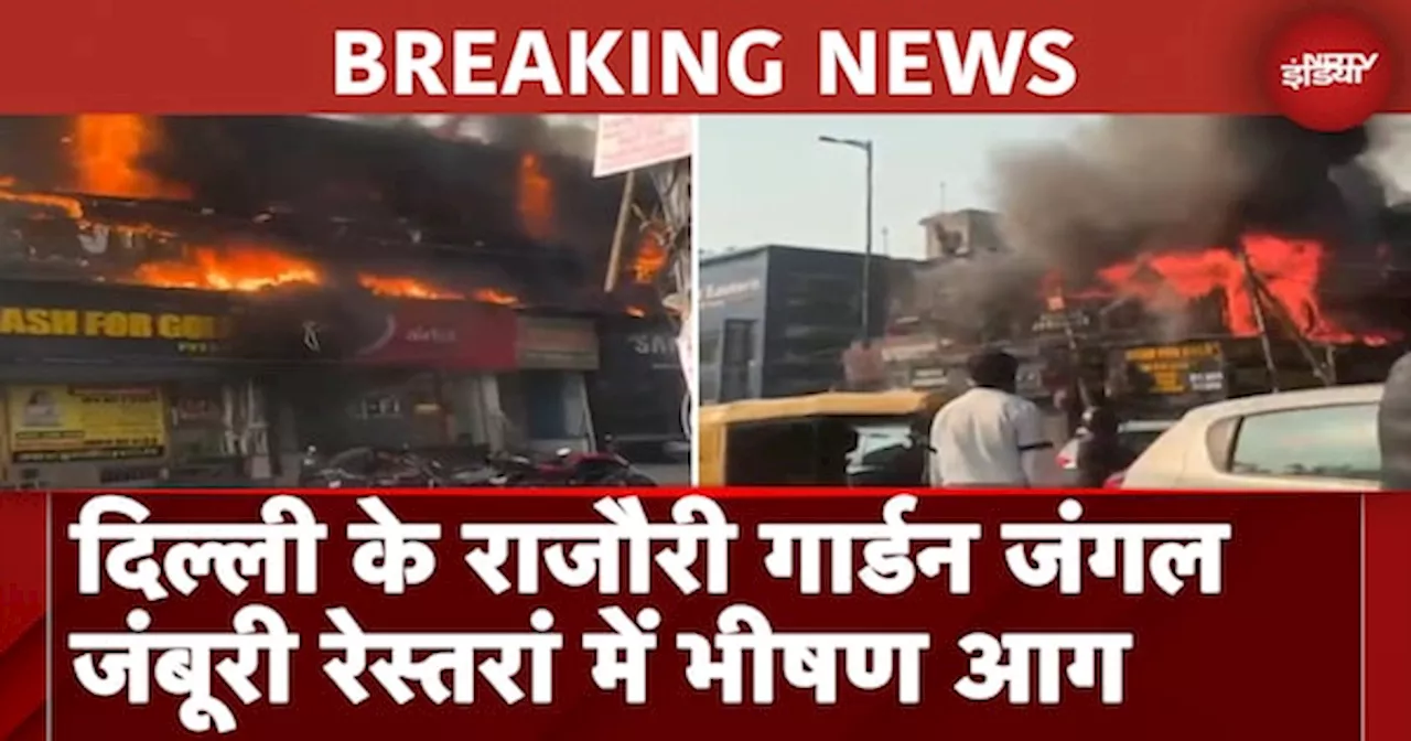 Delhi Fire News: दिल्ली के राजौरी गार्डन जंगल जंबूरी रेस्तरां में आग