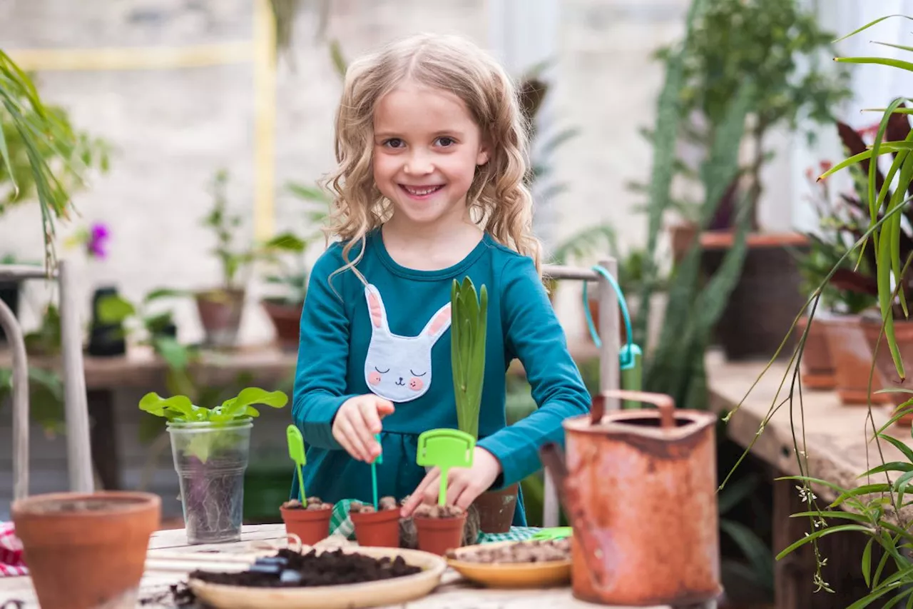 The ‘amazing’ and ‘speedy’ gardening website that parents love