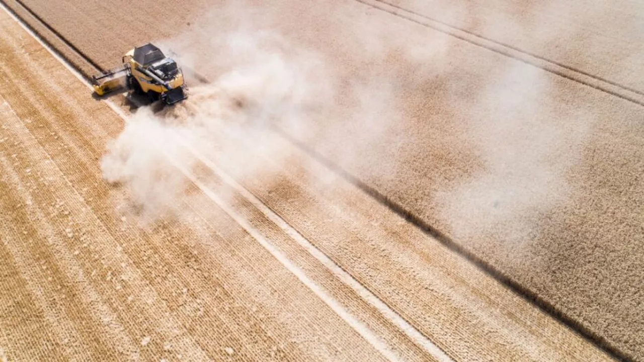 Viele Landflächen weltweit trocknen dauerhaft aus