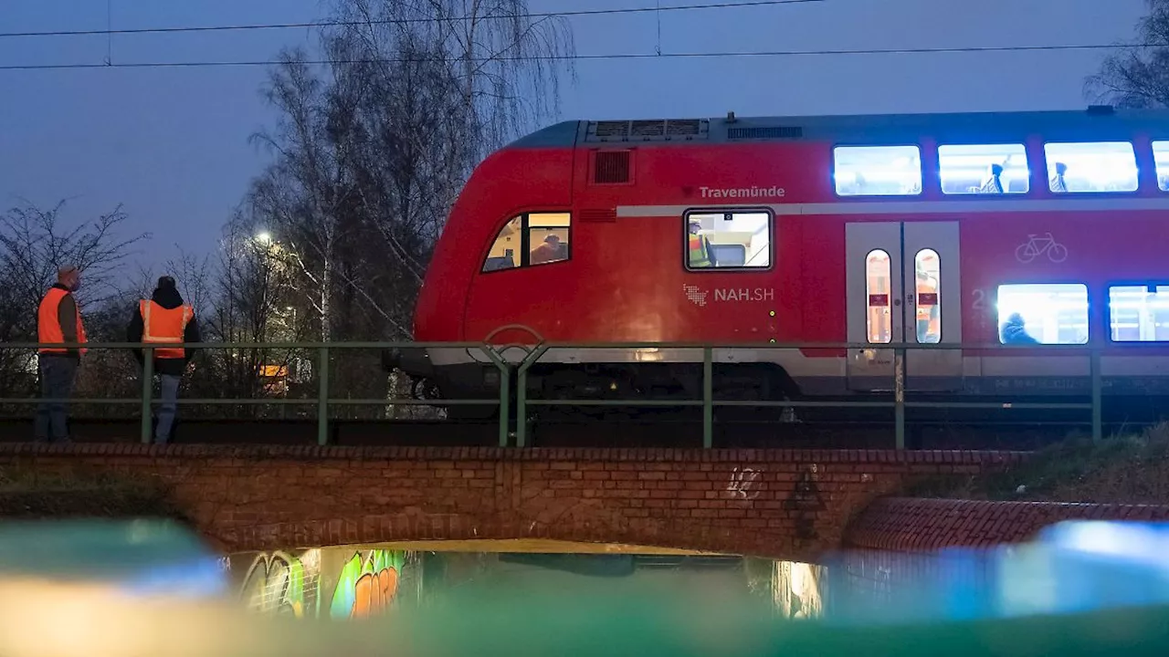 Sachsen-Anhalt: Kutsche außer Kontrolle - Bahn erfasst Pferd