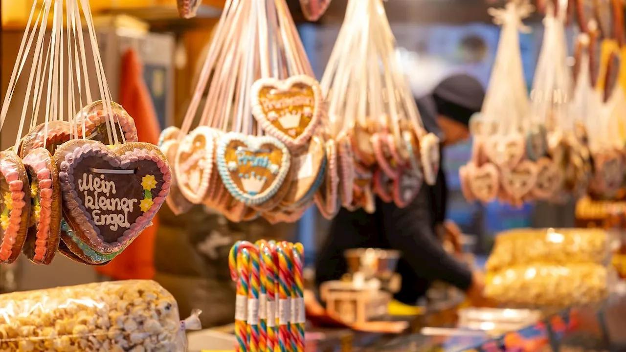 Sachsen-Anhalt: Ziel Weihnachtsmarkt - Bus steckt auf Feldweg fest