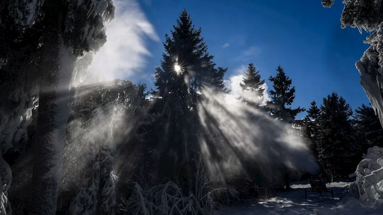 Sachsen: Hoffnung auf Skibetrieb: Erste Schneekanonen angeworfen