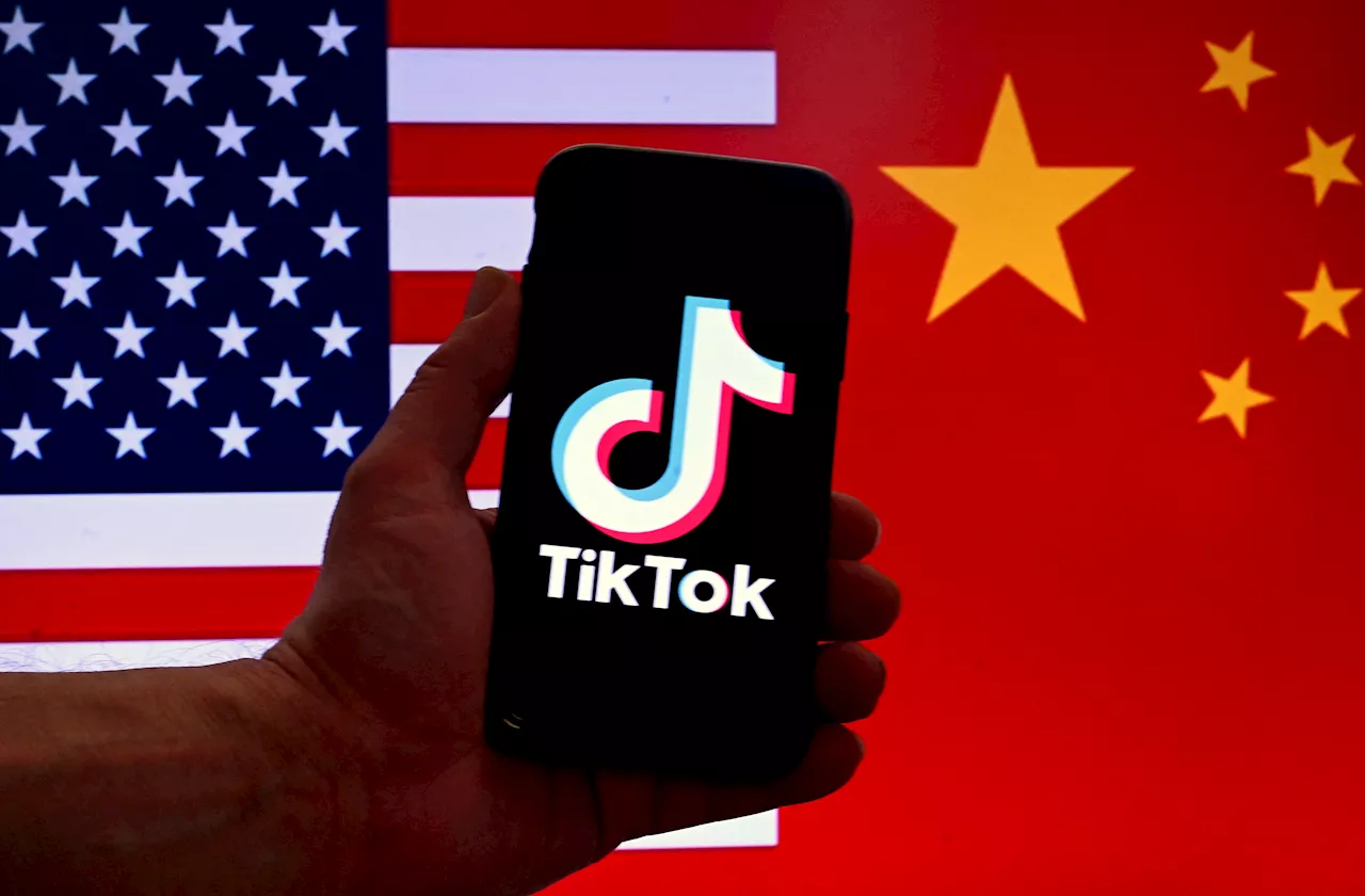 ByteDance, TikTok seek pause on US ban or sale pending Supreme Court review