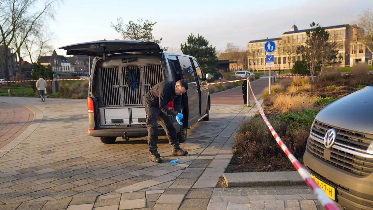 Vrouw (31) in park verkracht: jeugddetentie geëist tegen jonge verdachten