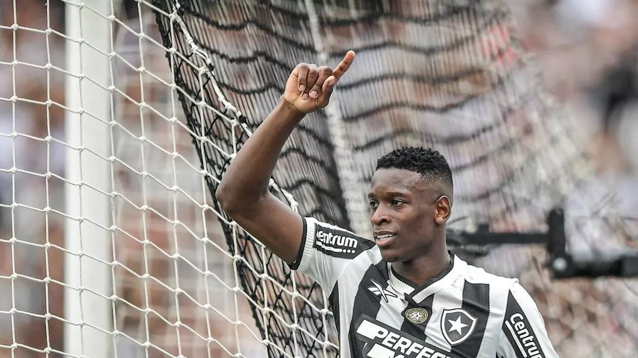 Botafogo, club de John Textor, sacré champion du Brésil après sa victoire en Copa Libertadores