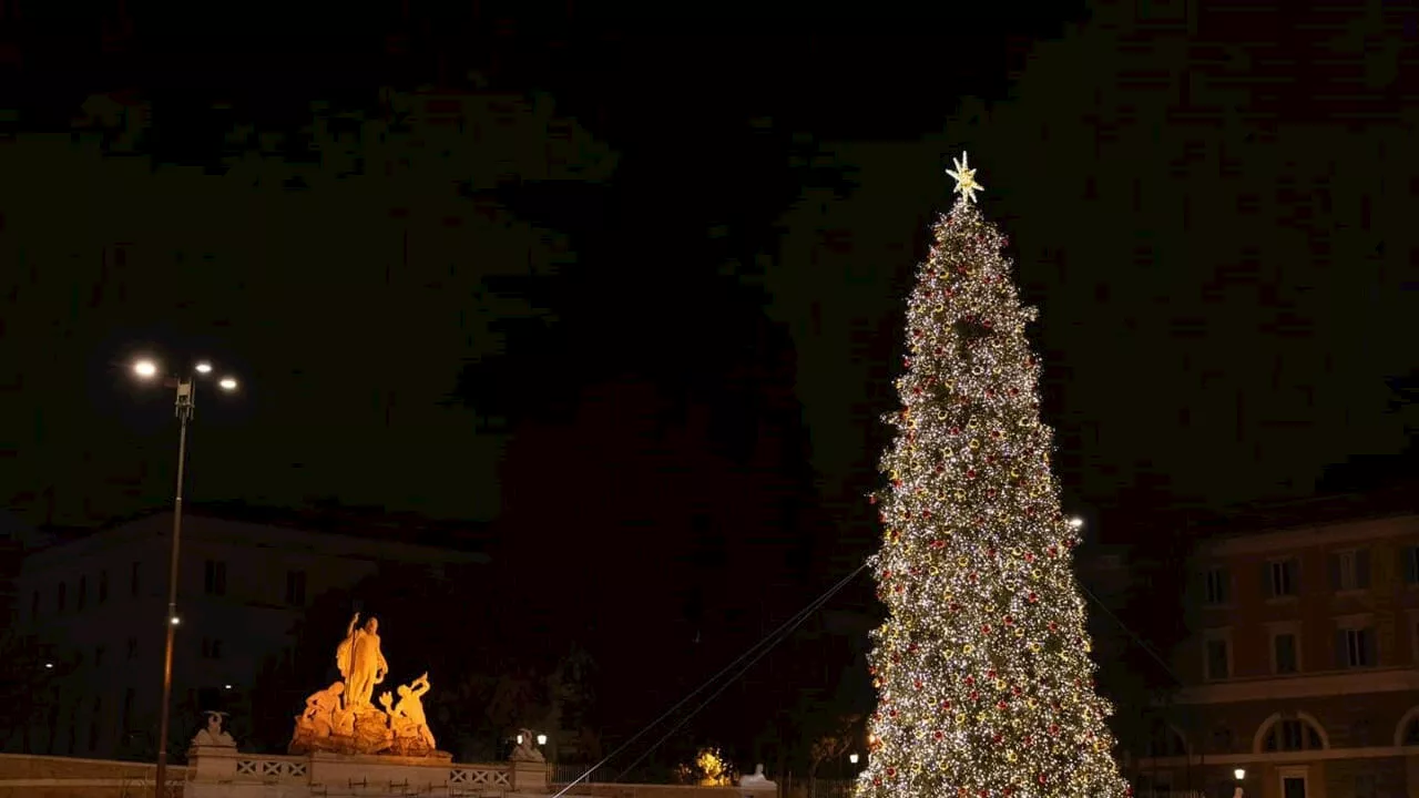 Alberi di Natale a Roma. I più belli da vedere