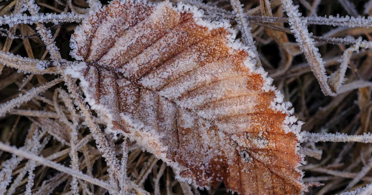 Met Eireann forecast frost, ice and fog as temperatures plunge to -3 degrees