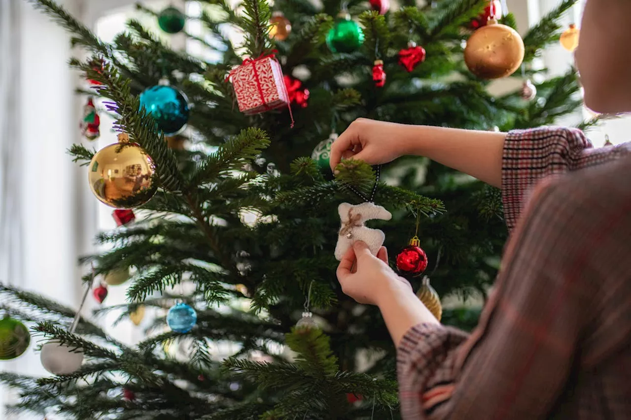 Tout savoir sur le syndrome du sapin de Noël