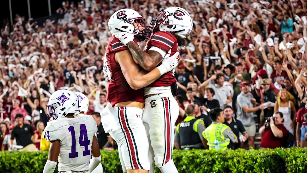 South Carolina Gamecocks Loses Third Tight End to the Transfer Portal