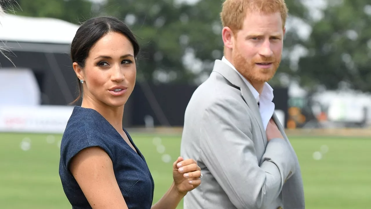 ‘Rein back’, Harry: Why Sussexes’ doco play ‘won’t work’