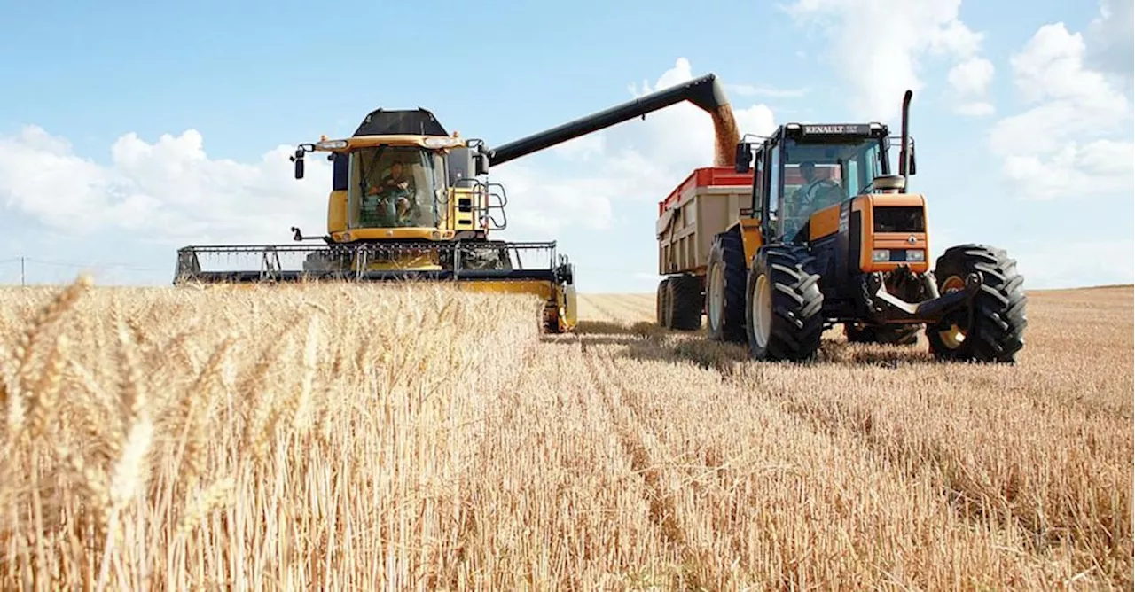 Terreni agricoli, può comprare solo chi ha già grandi proprietà