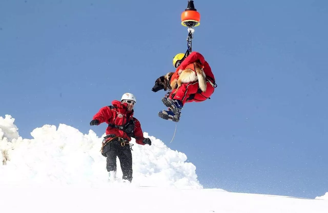 Béarn : à Gourette, les 5e de 12 collèges dans la peau de secouristes en avalanches