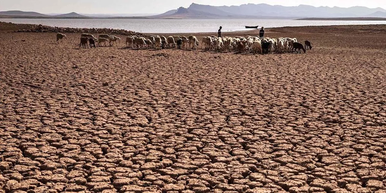 Climat : 2024 sera bien l’année la plus chaude jamais vue dans le monde, avec un réchauffement supérieur à 1,5 °C