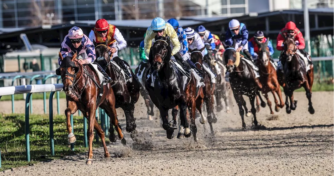 Pau : « On sent que tout le monde est impatient de retrouver l’adrénaline des courses », le Meeting d’hiver entre en piste à l’hippodrome