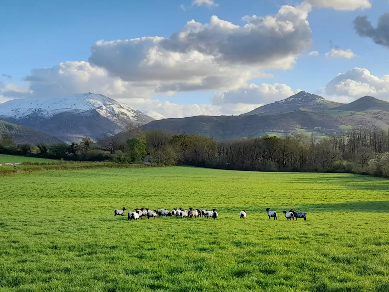 Pyrénées-Atlantiques : le Département poursuit ses engagements au soutien du Béarn et du Pays basque