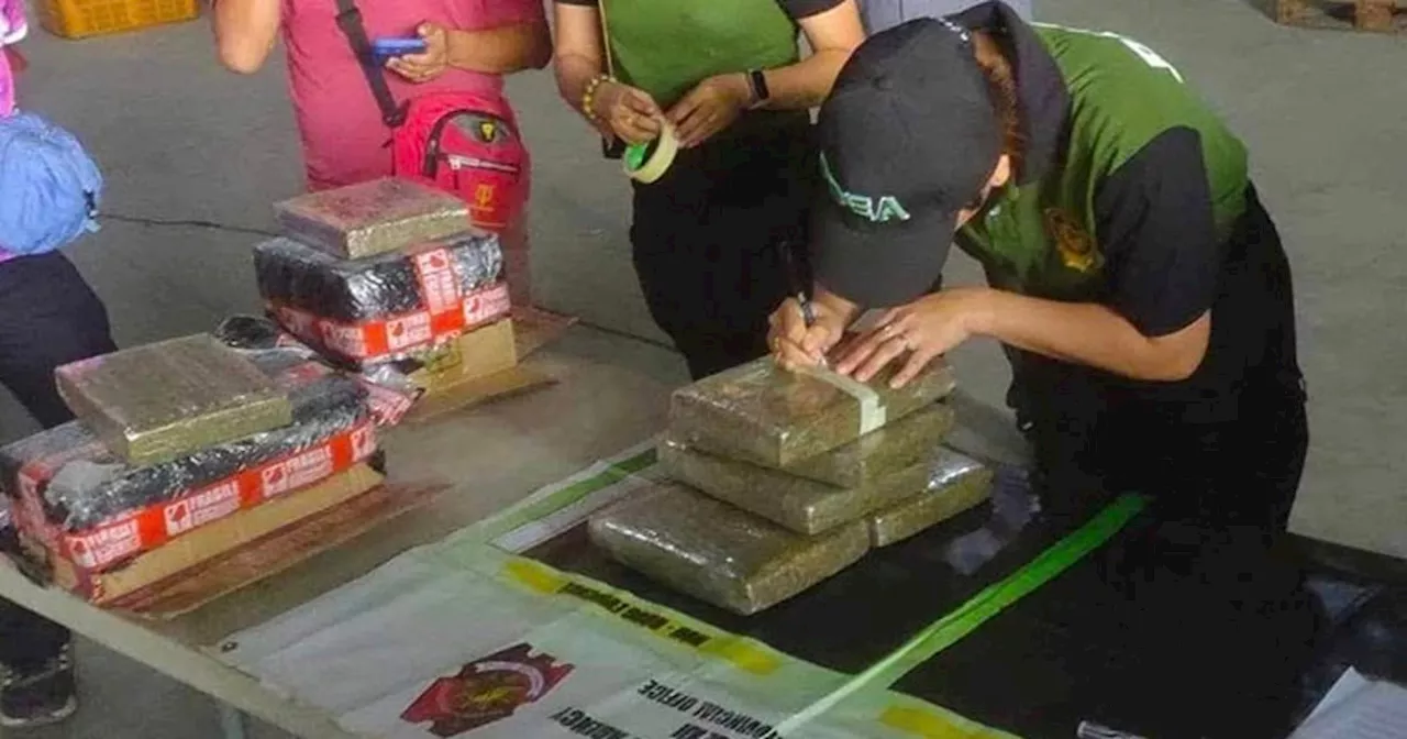 Pdea 12 seized P840-K worth of marijuana in General Santos City