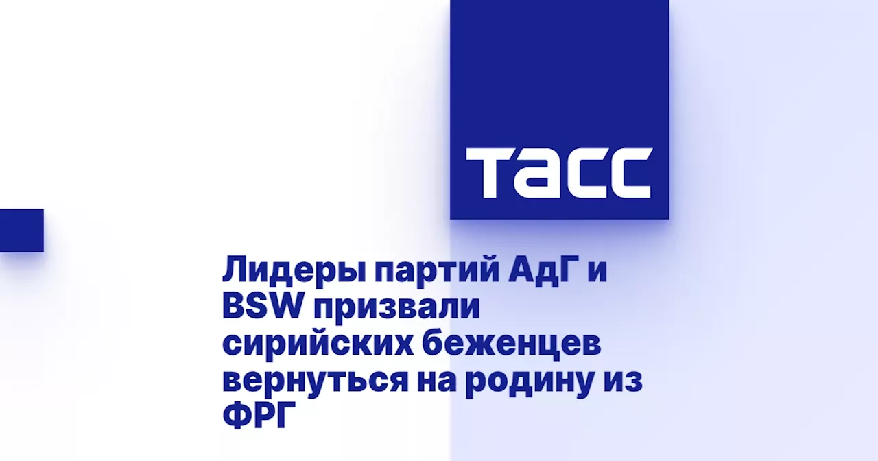 Лидеры партий АдГ и BSW призвали сирийских беженцев вернуться на родину из ФРГ