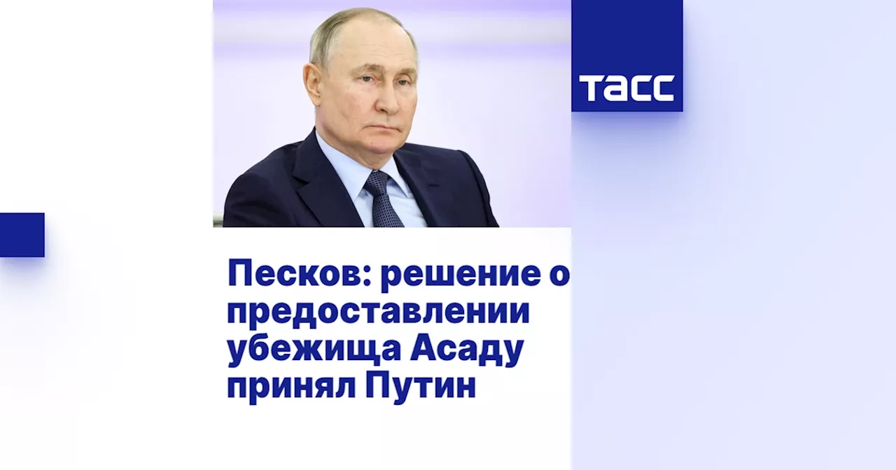 Песков: решение о предоставлении убежища Асаду принял Путин