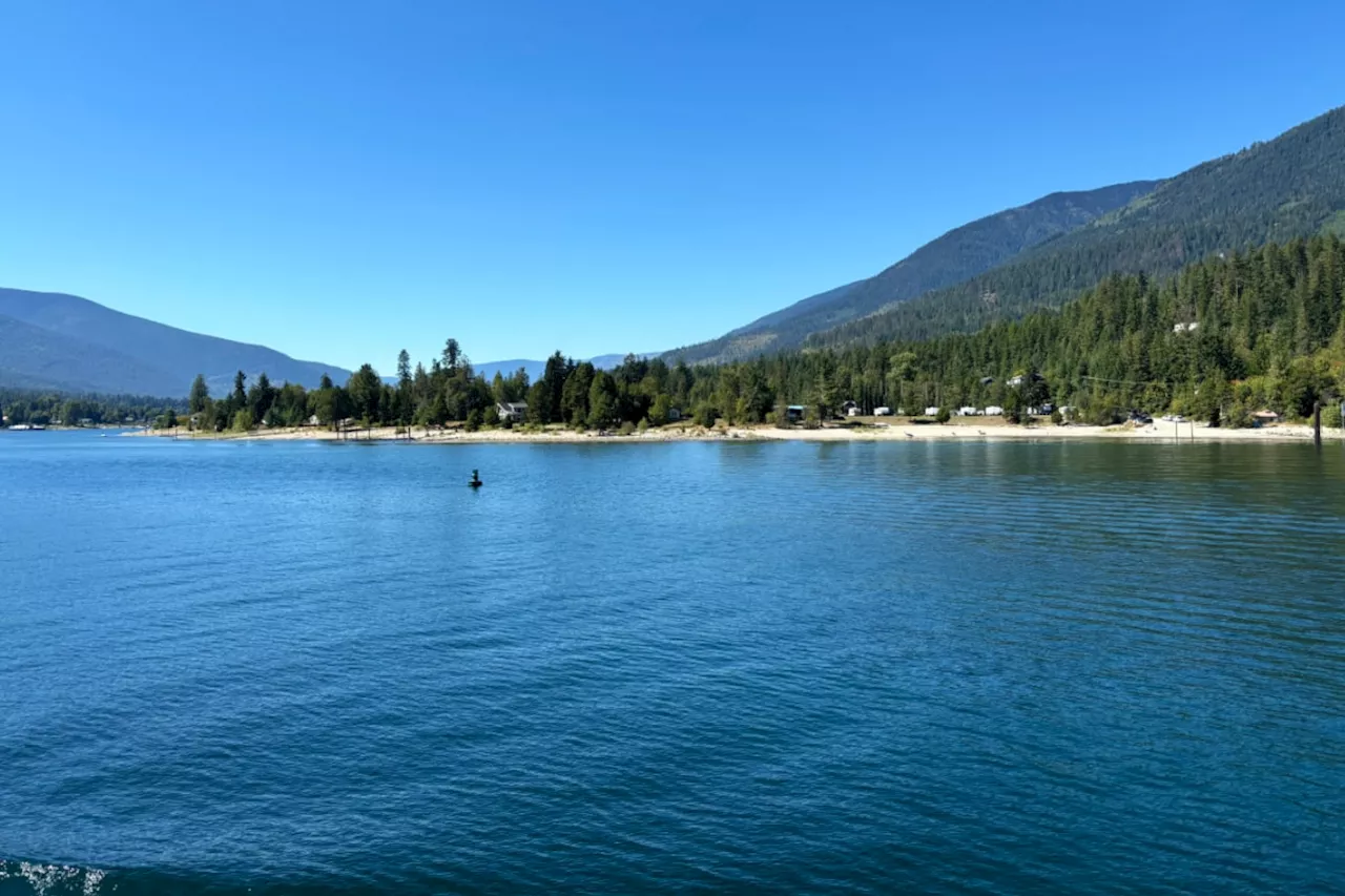 Whirling disease confirmed in Kootenay Lake