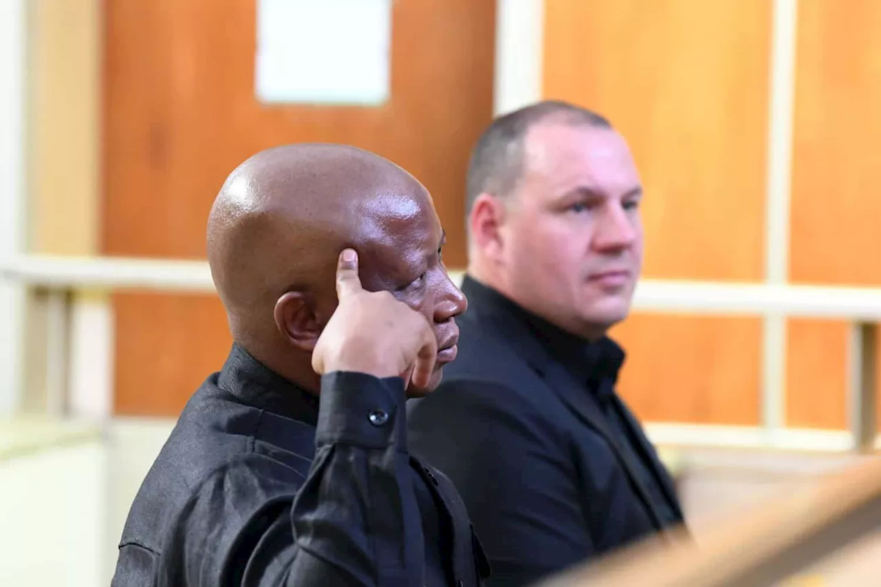 ‘This is clearly a lie’: State highlights Malema’s contradictions in firearm discharge trial