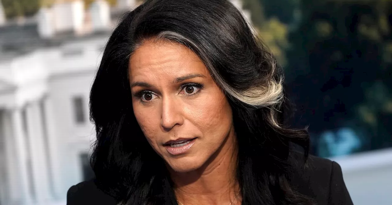 Tulsi Gabbard Scrambles to Save Spy Job as Another Trump Pick Hits Trouble