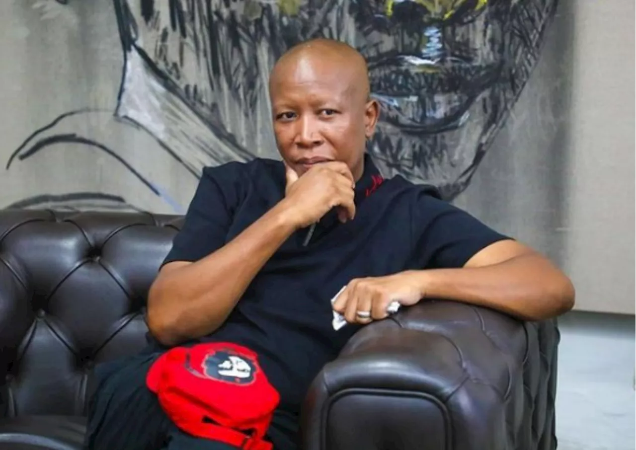 Julius Malema returns to court for public firearm discharge