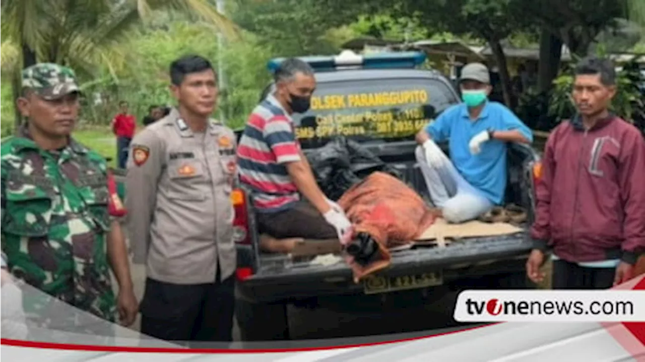 Hilang 3 Hari, Wanita Asal Pacitan Ditemukan Tewas di Tebing Pantai Nampu Wonogiri