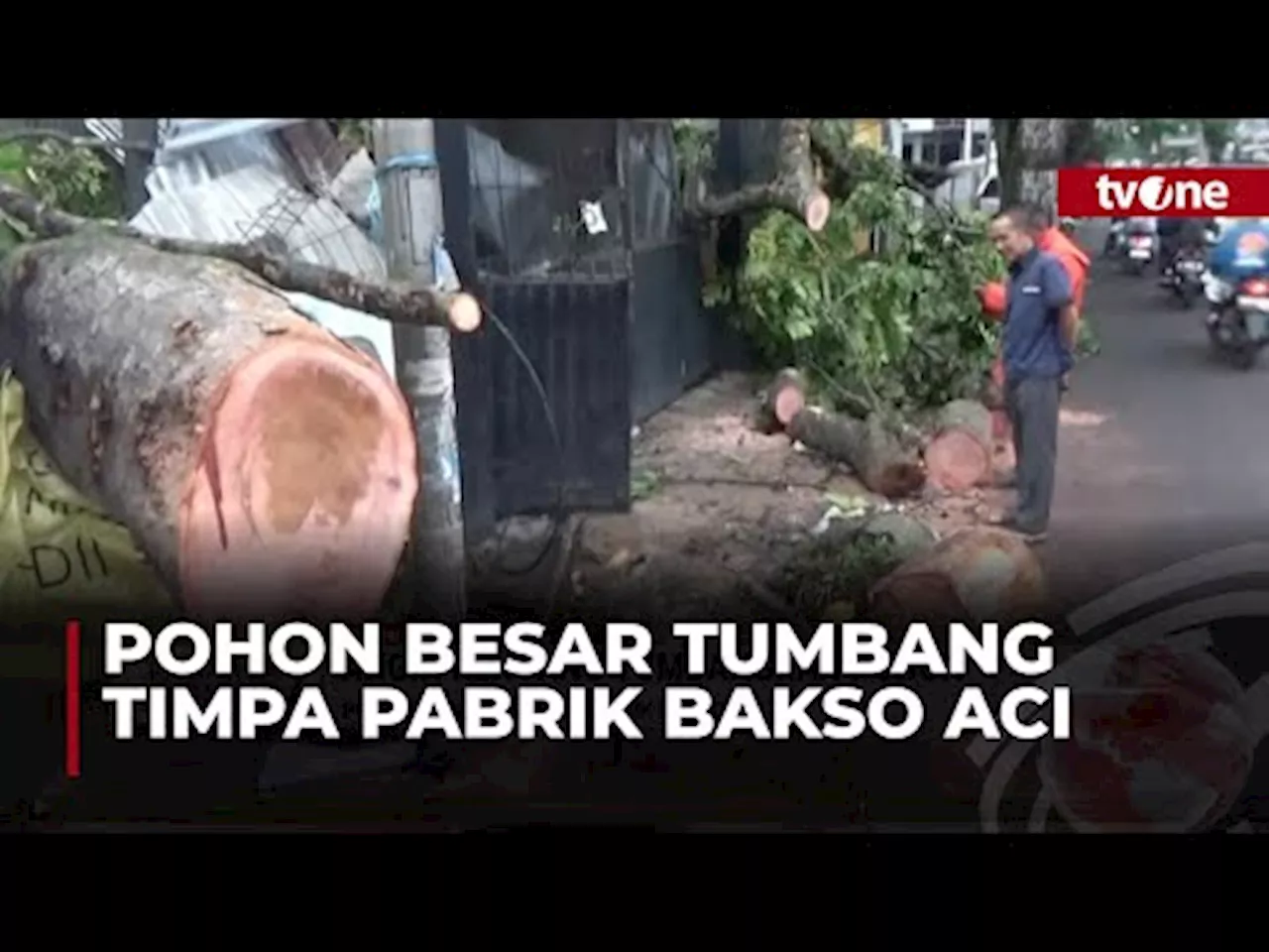 Hujan dan Angin Kencang Terjang Cimahi, Tumbangkan Pohon Besar