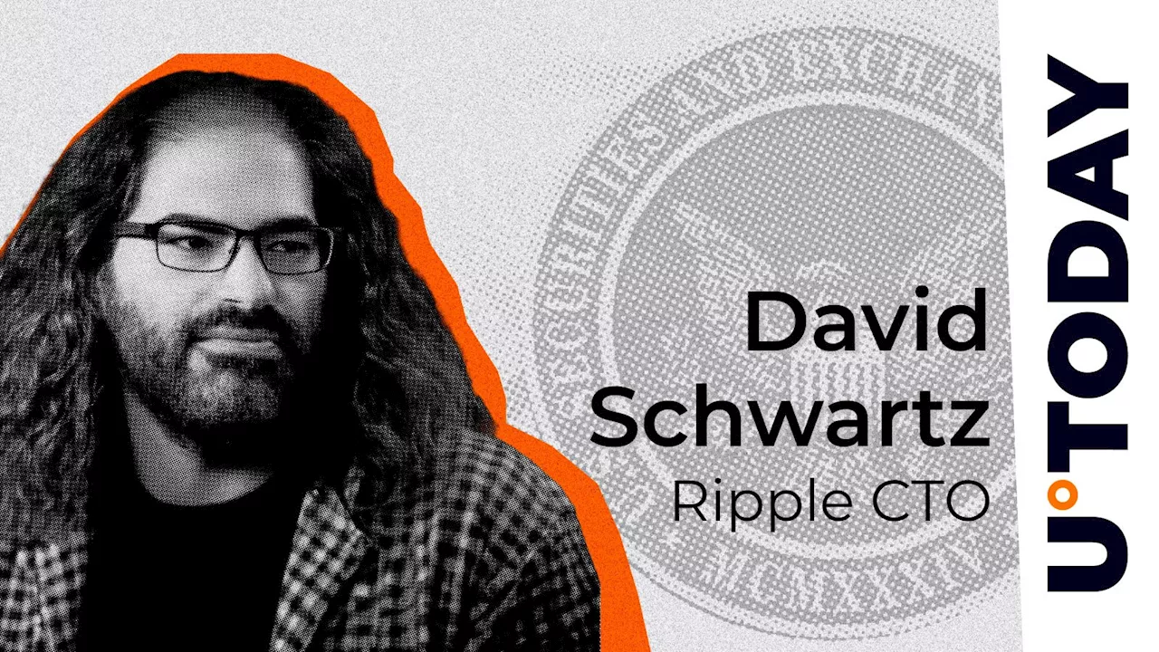 Ripple CTO Poses Crucial Security Question to SEC Veteran