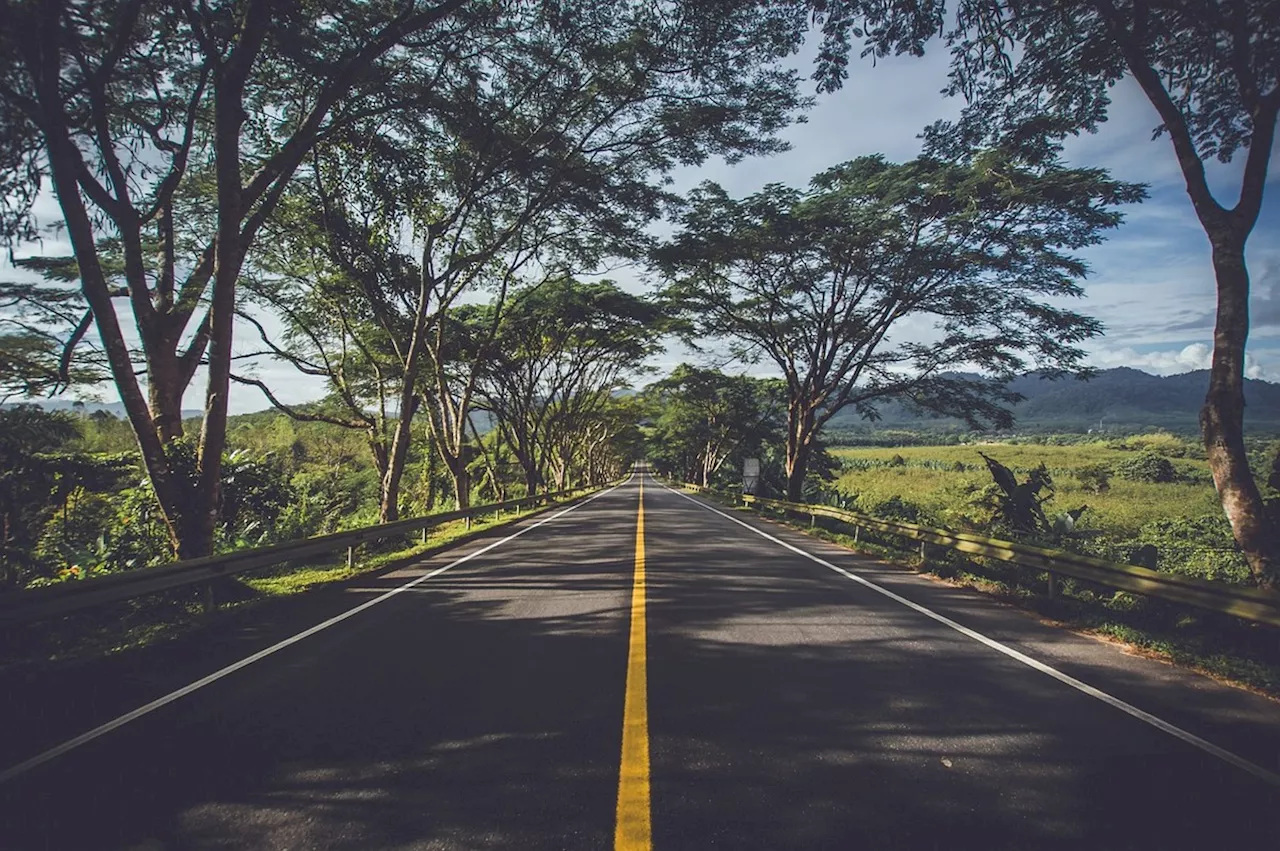 Leilão rodoviário da Rota Verde, em Goiás, deverá ser disputado por 4 grupos