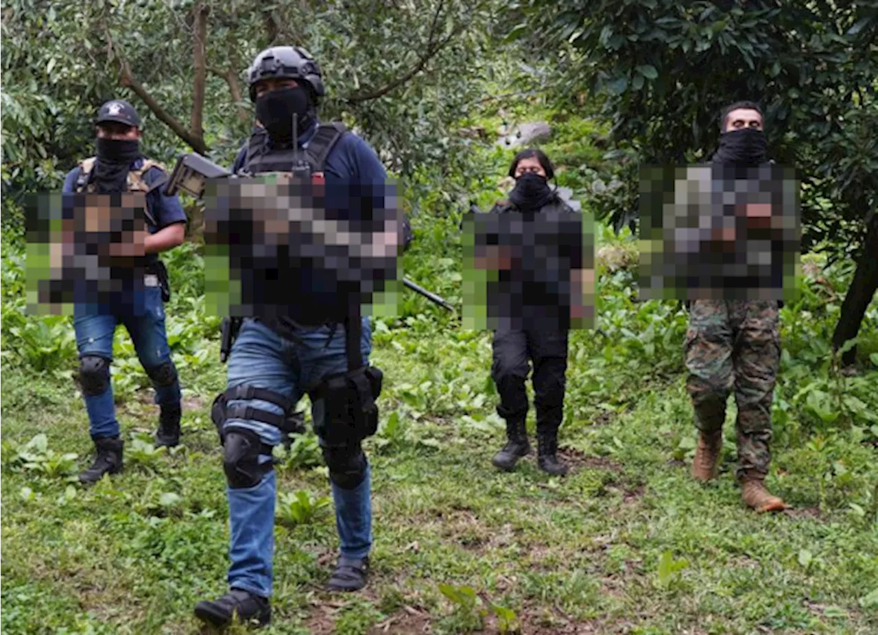 ¿Un mega cártel en México?, CJNG y cártel de Sinaloa podrían fusionarse, advierte periodista