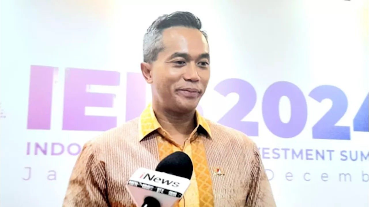 Daftar Negatif Investasi Sisa 6 Industri, Anindya Bakrie: Kita Mesti Jaga Wibawa