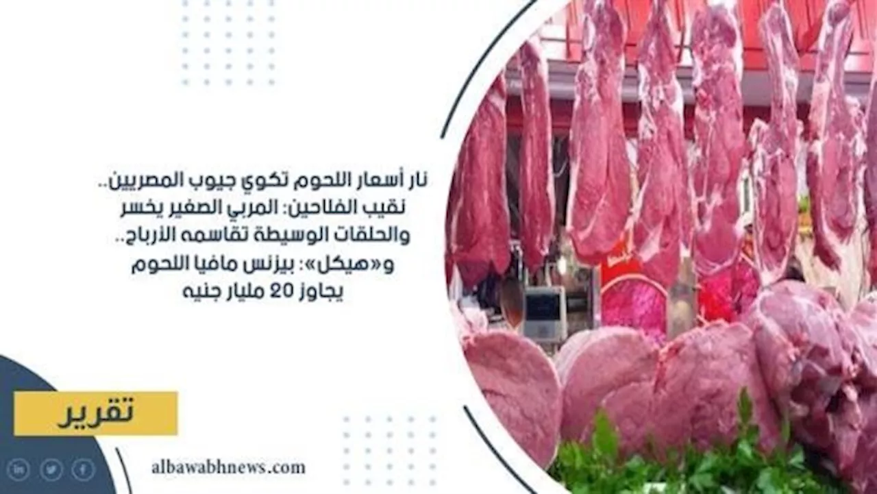 نار أسعار اللحوم تكوي جيوب المصريين.. نقيب الفلاحين: المُربي الصغير يخسر والحلقات الوسيطة تقاسمه الأرباح.. و«هيكل»: بيزنس مافيا اللحوم يجاوز 20 مليار جنيه