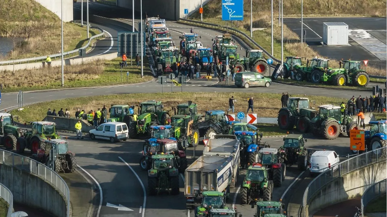 Crise agricole en Europe : les attentes des exploitants au sommet européen