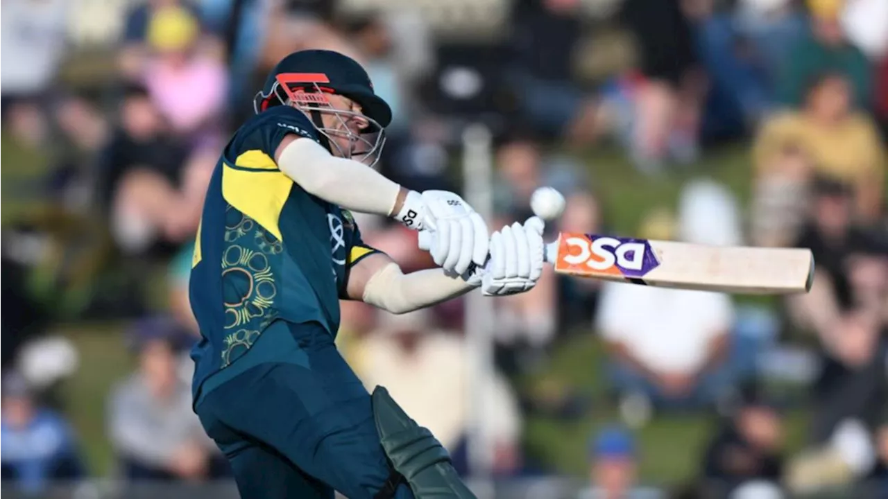 Australian cricket legend David Warner flips script in history-making T20 clash with West Indies